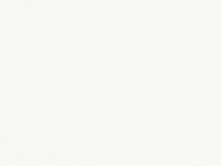 Finish: White
