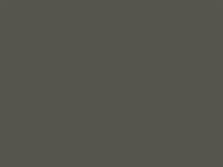 Hardware Type: Black Iron