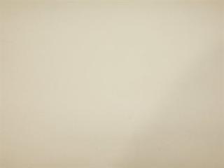 Fabric: Outdoor Factory Polyester Beige