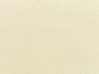 Fabric: Sunbrella Canvas Canvas