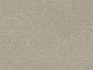 Fabric: Cream