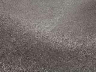 Upholstery: Gourmet Stone