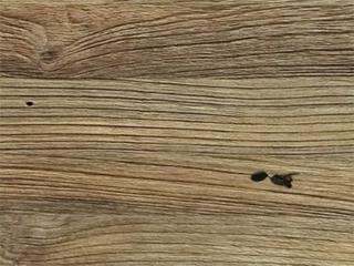 Top Finish: Recycled Teak Brushed