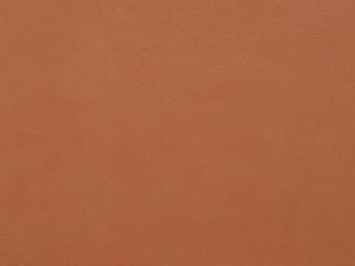 Base Finish: Orange Coral Gloss