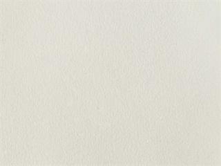 Back Fabric: Stamskin White