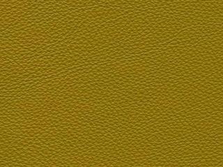 Upholstery: Le Mans Cedar Leather - 15D2
