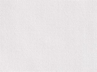 Cushion Color: Eggshell White
