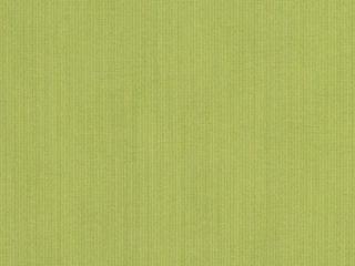 Fabric: Sunbrella Spectrum Kiwi