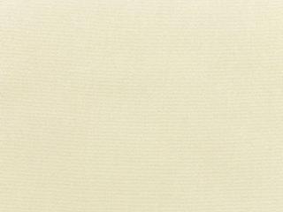 Fabric: Sunbrella Canvas Canvas