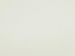 Fabric: Factory Polyester Beige