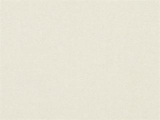 Fabric: Oyster