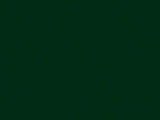 Strap: Forest Green Smooth