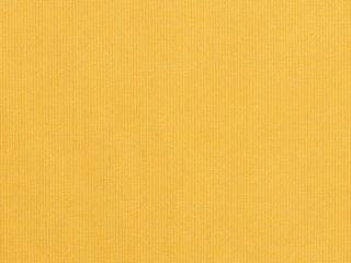 Fabric: Sunbrella Spectrum Daffodil