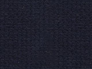 Strap Color: Colbalt