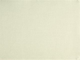 Fabric: Masterline Latte