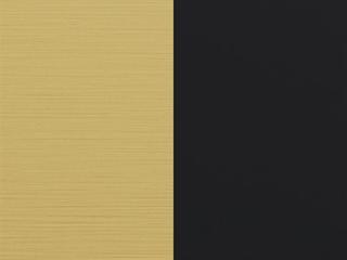 Finish: Matte Brushed Gold / Matte Black