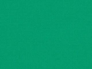 Fabric: Sunbrella Marine Grade Erin Green
