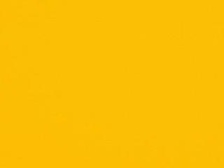 Fabric: Sunbrella Marine Grade Sunflower Yellow
