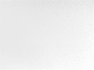 Finish: Matte White