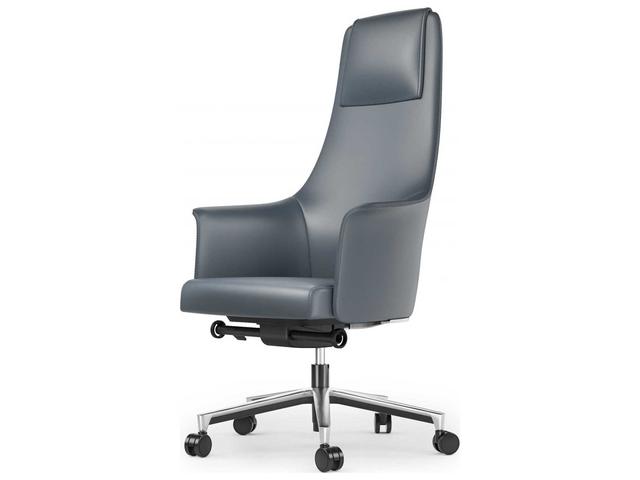 Bolo Ergonomic Office Chair in Ocean Semi-Aniline Leather