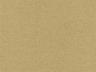 Option Amber-231