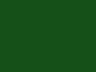 Option FG
