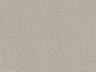 Option 2236-12
