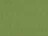 Option 48022