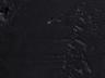 Option Black-Wax-Old-Wood