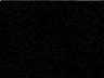 Option Black-Poly