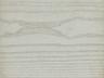 Option R5-GARDENIA-WHITE