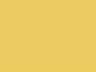 Option 95