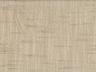 Option B27017-1