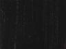 Option 97
