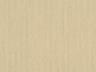 Option 48019