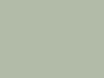 Option 62