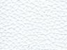Option Bianco-5000