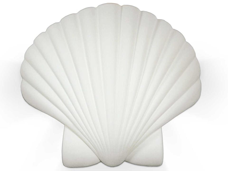 Islands of Light Gran Key 16-Inch Ceramic Scallop Wall Sconce