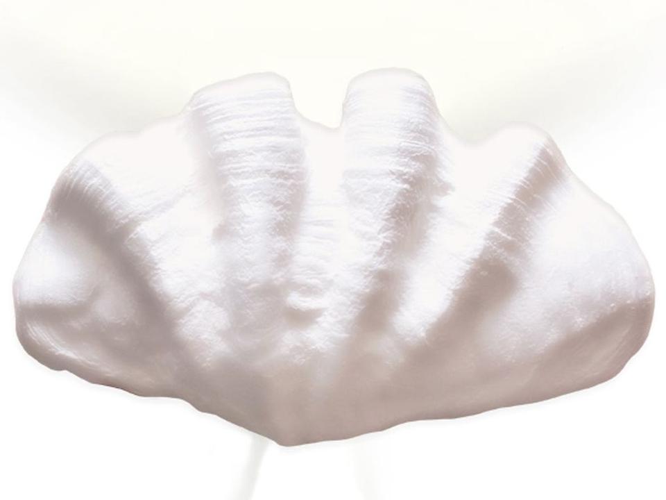 Fiji 2-Light White Wall Sconce