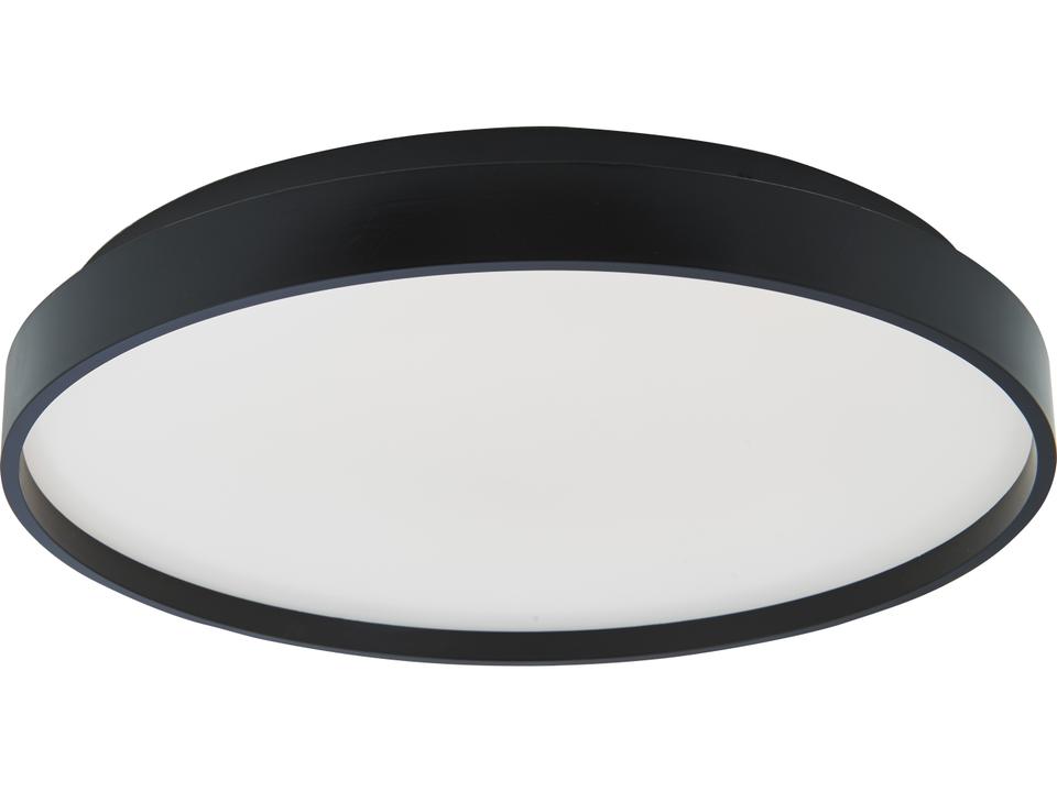 Tambourine