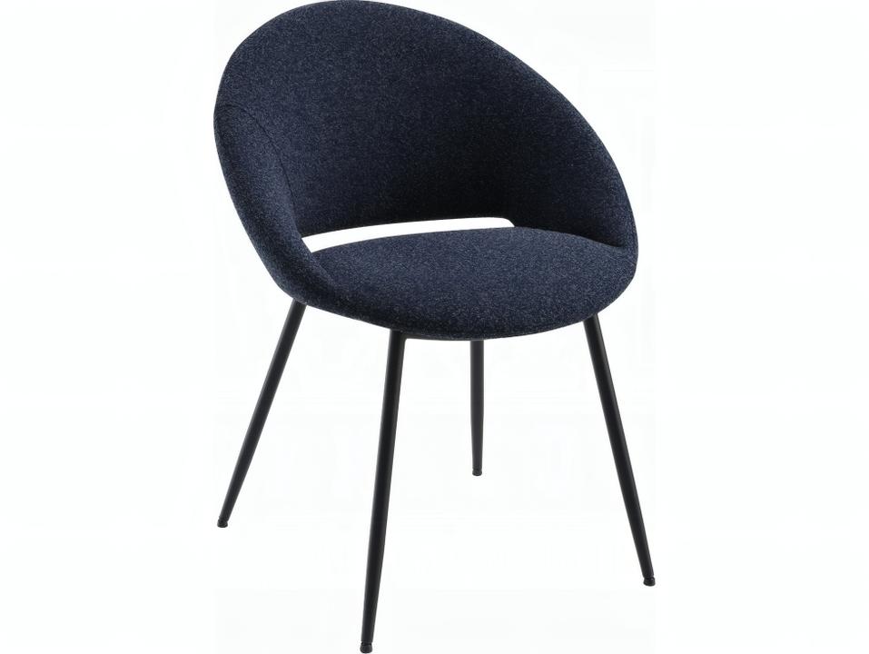 Klaus Padded Dining Side Chair in Black Set of 2