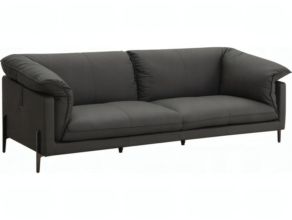 Tadi 2-Seat Top Grain Leather Loveseat in Black