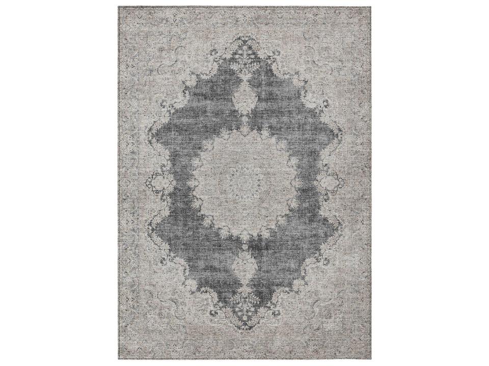 Chantille Bordered Area Rug