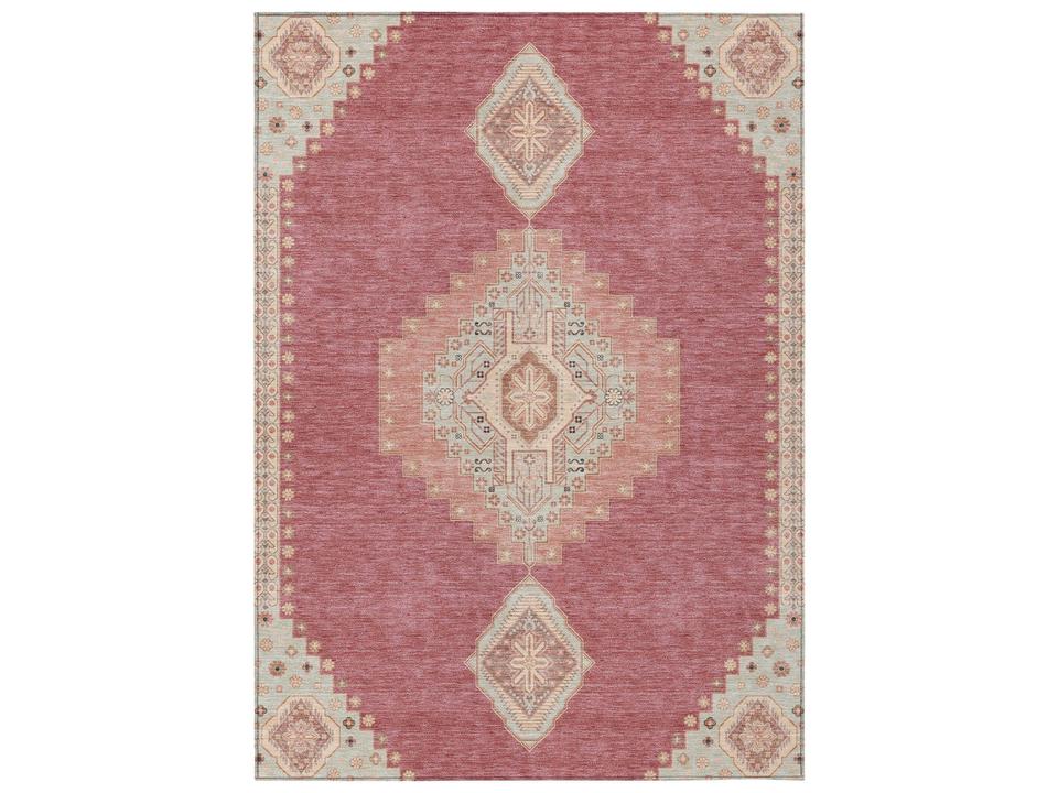 Chantille Oriental Area Rug