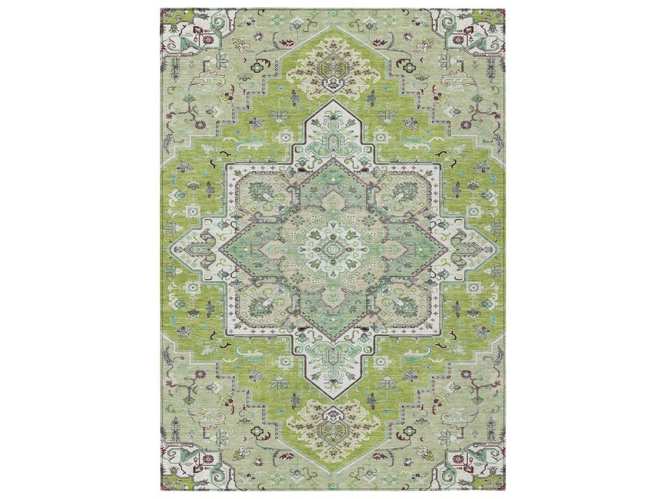 Chantille Floral Area Rug