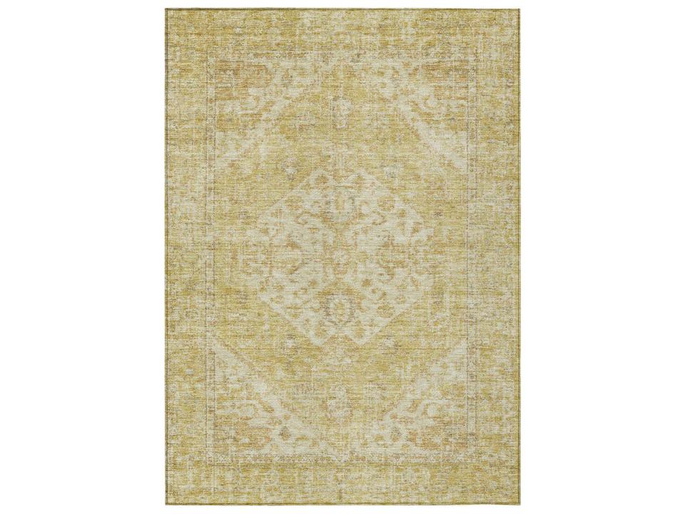 Chantille Bordered Area Rug