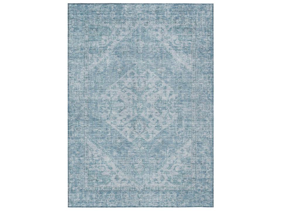 Chantille Bordered Area Rug