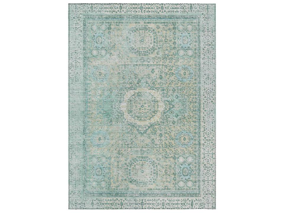 Chantille Bordered Area Rug