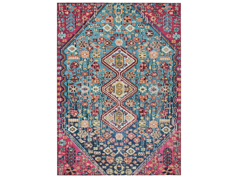 Chantille Oriental Area Rug