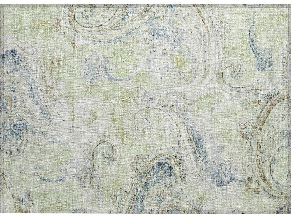 Chantille Paisley Area Rug